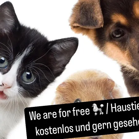 Apartament Sepperls Stubn - Pets No Extra Cost - - 24-hours Self Check-in Bad Goisern