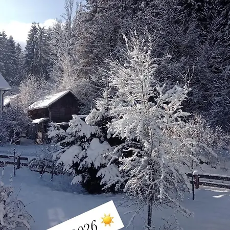 Apartament Sepperls Stubn - Pets No Extra Cost - - 24-hours Self Check-in *