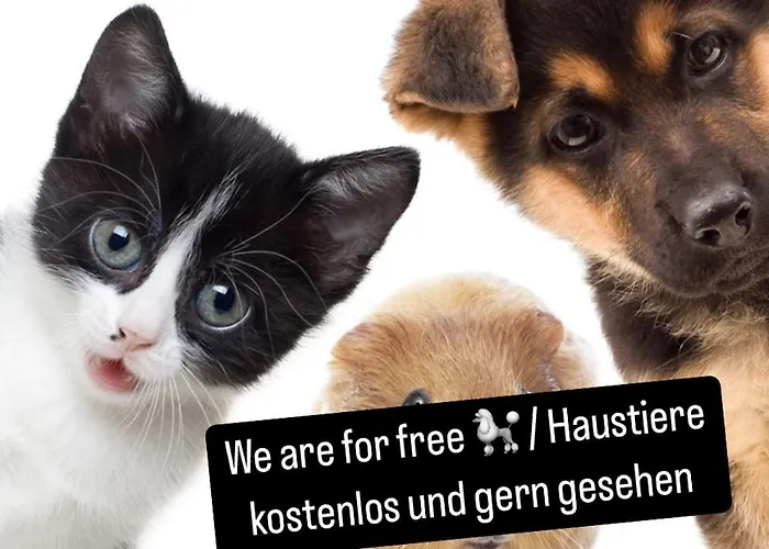 Apartman Sepperls Stubn - Pets No Extra Cost - - 24-hours Self Check-in Bad Goisern