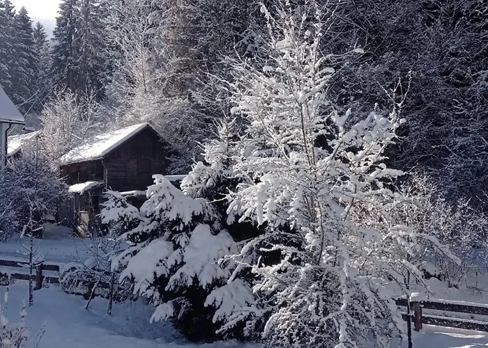 Appartement Sepperls Stubn - Pets No Extra Cost - - 24-hours Self Check-in *